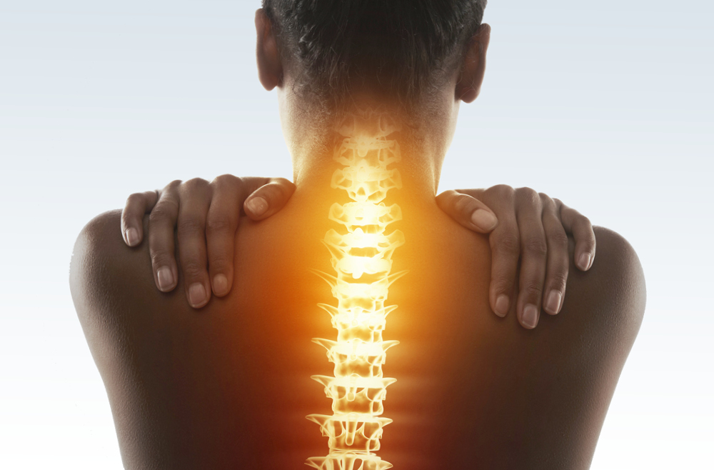 Translucent skeletal illustration indicating spine (back and neck) pain